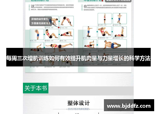 每周三次增肌训练如何有效提升肌肉量与力量增长的科学方法